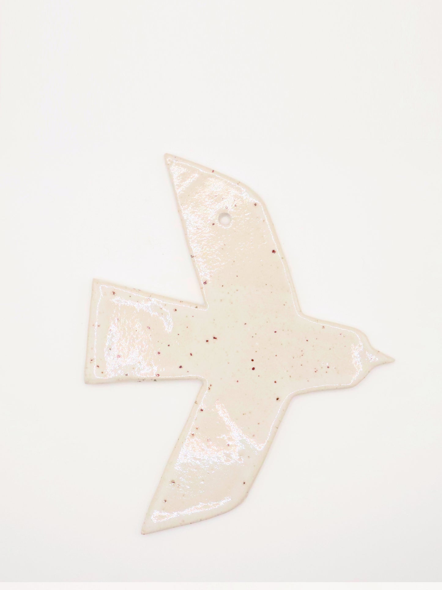 Oiseau plat