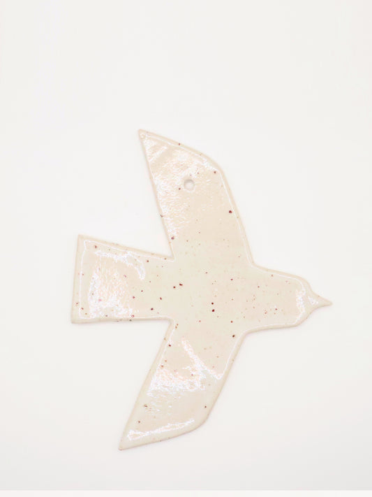 Oiseau plat